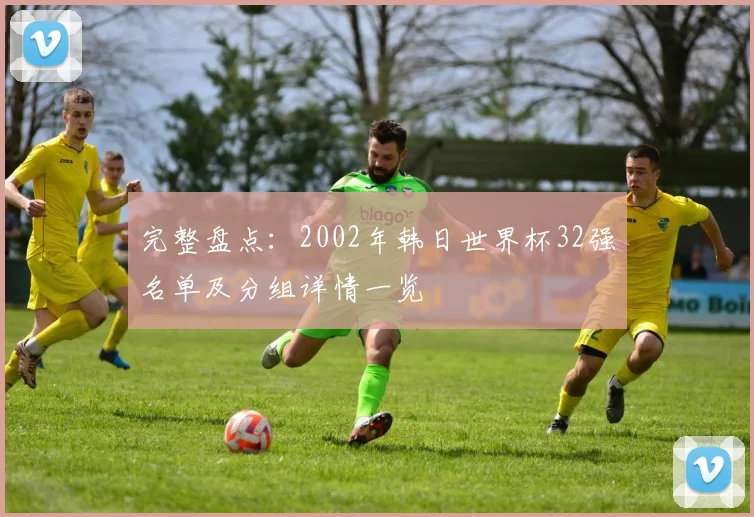 完整盘点:2002年韩日世界杯32强名单及分组详情一览