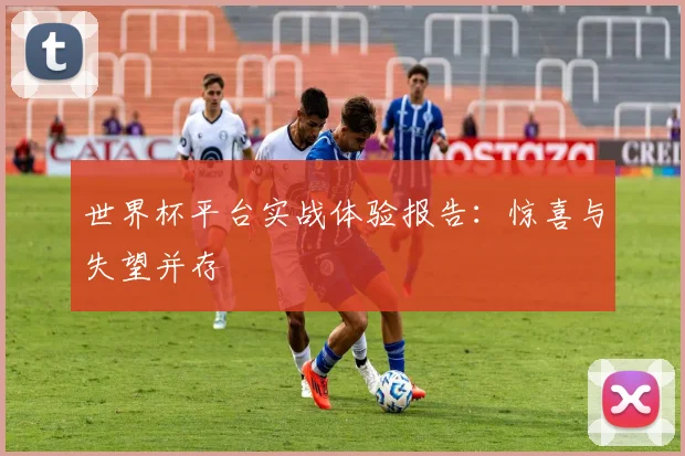 世界杯平台实战体验报告:惊喜与失望并存