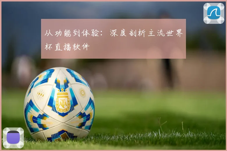从功能到体验：深度剖析主流世界杯直播软件
