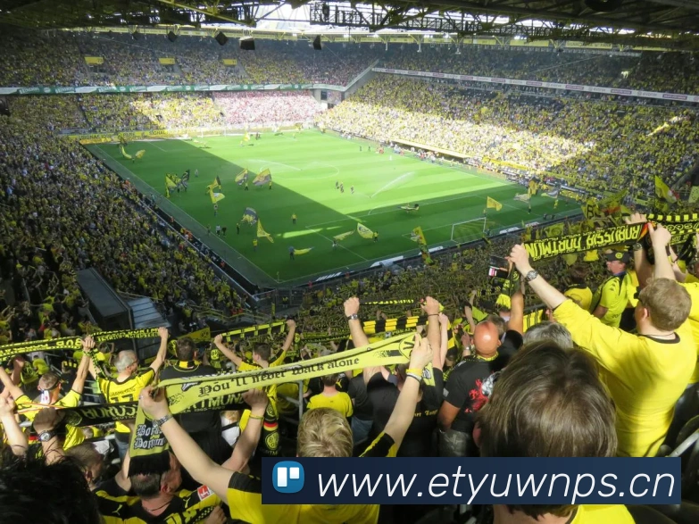 星空体育在线官网入口平台生态图