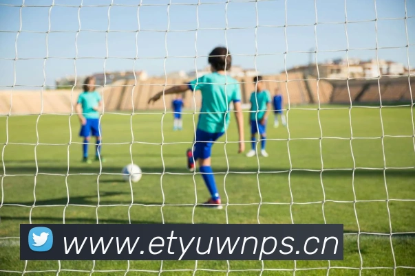 互动解说服务